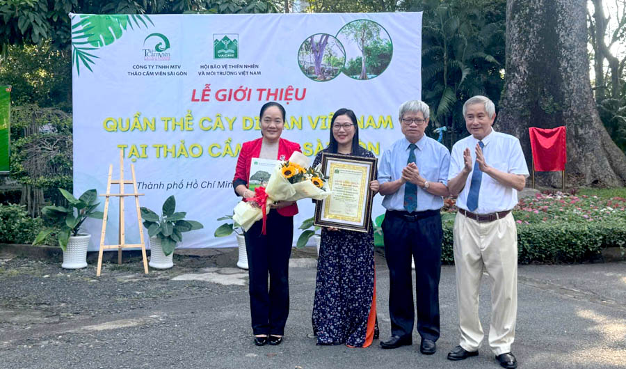 Những[-]cây[-]cổ[-]thụ[-]đầu[-]tiên[-]của[-]Thành[-]phố[-]Hồ[-]Chí[-]Minh[-]được[-]công[-]nhận[-]Cây[-]Di[-]sản[-]Việt[-]Nam